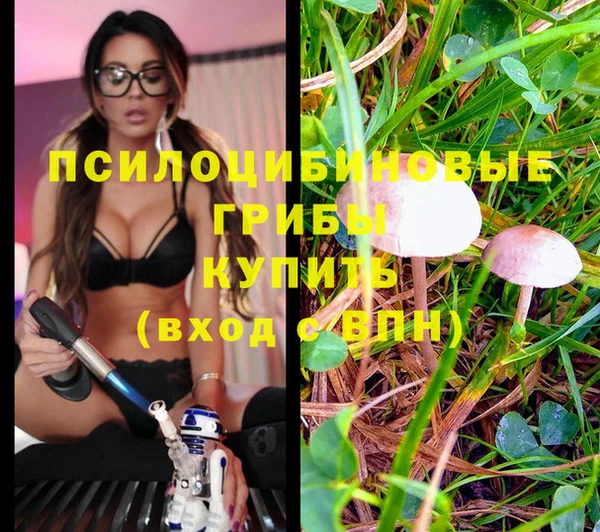 меф Армянск